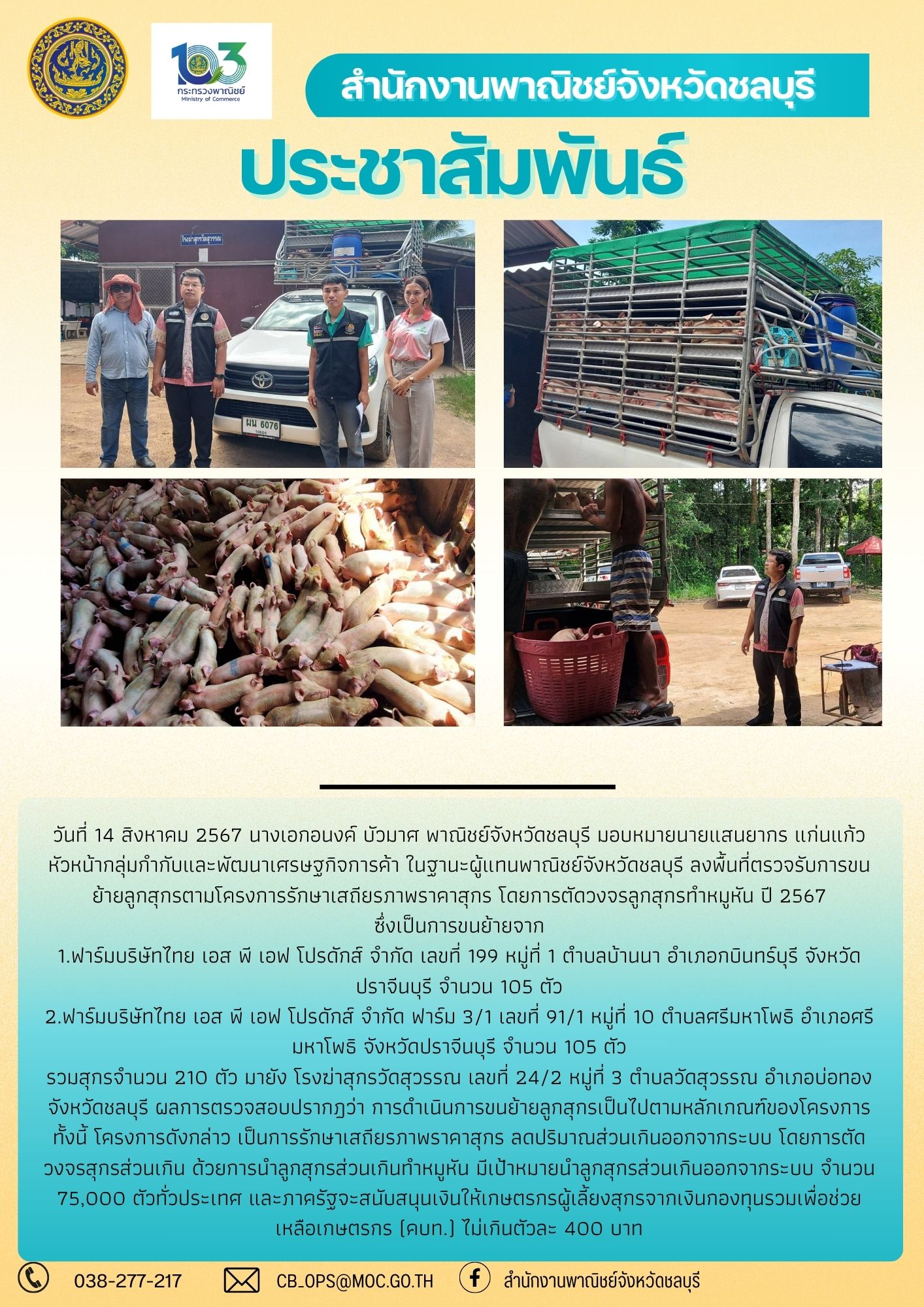 พาณิชย์ชลบุรี ร่วมลงพื้นที่ตรวจรับลูกสุกรตามโครงการรักษาเสถียรภาพราคาสุกร โดยการตัดวงจรลูกสุกรทำหมูหัน ปี 2567
